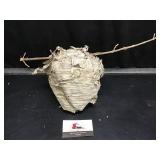 Wasp Nest