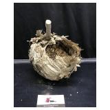 Wasp Nest