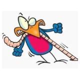 PLEASE NOTE!!   6 AM AUCTION