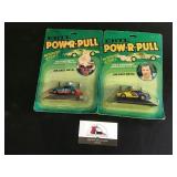 Dale Earnhardt & Richard Petty Stock Car