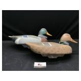 Duck Decoy