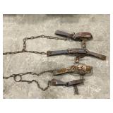 Victor & Misc Traps- Untested