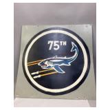 Squadron Insignia Painted on Aircraft Aluminum