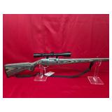 Ruger 10/22 .22LR with Scope