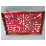 Native American Indian Arrowhead Collection In Red Oak Display Case