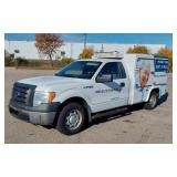 2010 FORD F 150 WHITE TRUCK