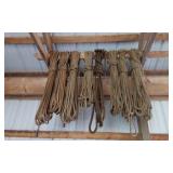 TREE ROPES APPEARS TO BE 8 DIFFERENT ROPES-