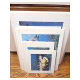 LARGE LOT OF AQUATIC PRINTS