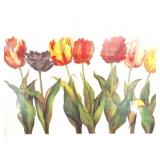 " PARROT TULIPS"- SUSANNE- SIGNED PRINT-