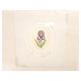 " IRIS"- P. WHITTLE