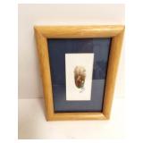 HAND PAINTED FEATHER-FROM PANAMA- APPROXIMATELY-4