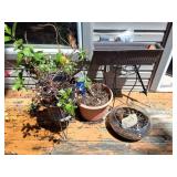 OUTDOOR PLANTERS