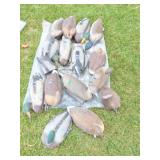 DUCK DECOYS- LARGE LOT