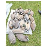 DUCK DECOYS- LARGE LOT