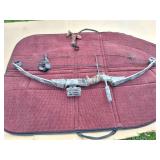 DARTIN MUSTANG GRAPHITE COMPOUND BOW WITH CASE