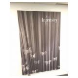 BY INTENSITY- CANVAS WALL ART- APPROXIMATELY 6