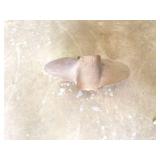 BRASS BOAT PROP-  624S