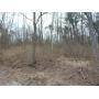 1 Acre Wooded Country Lot 