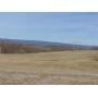 26.94 Acres of Union County Farm & Wood Land