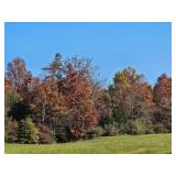 32 Acres of Union County Woodland