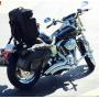 2002 Harley Davidson Dyna Low Rider, 2007 Nissan Pathfinder, Guns, Collectibles & Personal Property