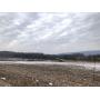 66 Acre Union County Farm