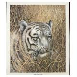 Print, White Bengal Tiger, I H Farnsworth