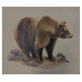 Print, Brown Bear, I H Farnsworth
