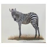 Print, Young Zebra, I H Farnsworth