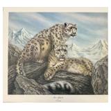 Print, Snow Leopards, I H Farnsworth