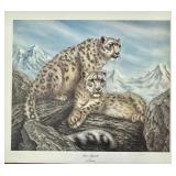 Print, Snow Leopards, I H Farnsworth