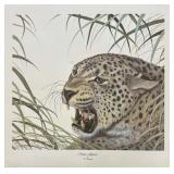 Print, Persian Leopard, I H Farnsworth