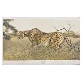 Print, The Stalk, Cheetah, I H Farnsworth