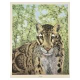 Print, Encounter Clouded Leopared, I H Farnsworth