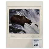 Photograph, Framed Bear Catching Salmon