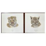 Print, Tiger Cub & Bobcat Kitten, I H Farnsworth