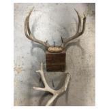 ANTLERS