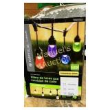 NEW COLOR- CHANGING STRING LIGHTS