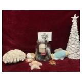 Seashells Decorations
