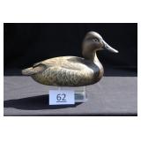 Canvasback Hen