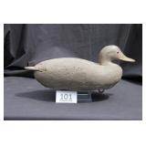 Black Duck