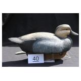 Gadwall Drake