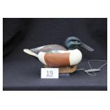 Shoveler Drake