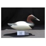Canvasback Drake