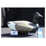 Atlantic Brant