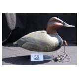 Canvasback Drake