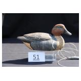 Green Wing Teal Drake
