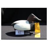 Canvasback Drake