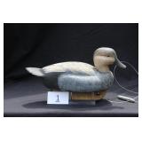 Gadwall Drake