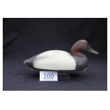 Canvasback Drake